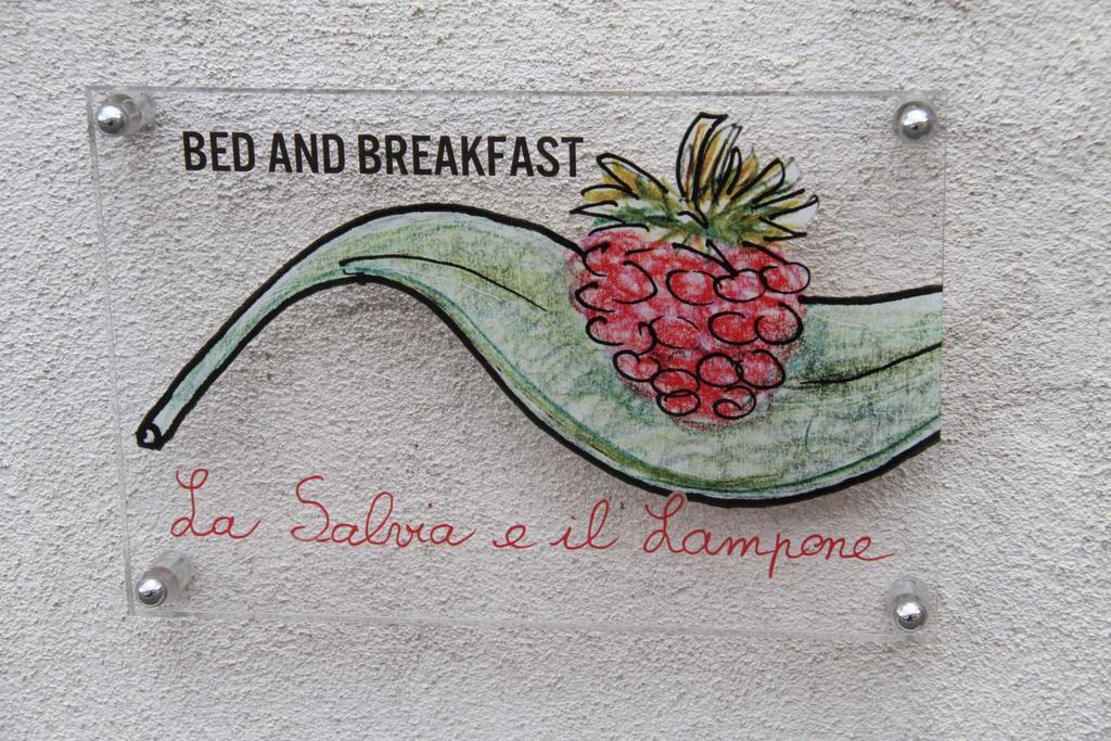 La Salvia E Il Lampone Bed and Breakfast Pove del Grappa Exteriör bild